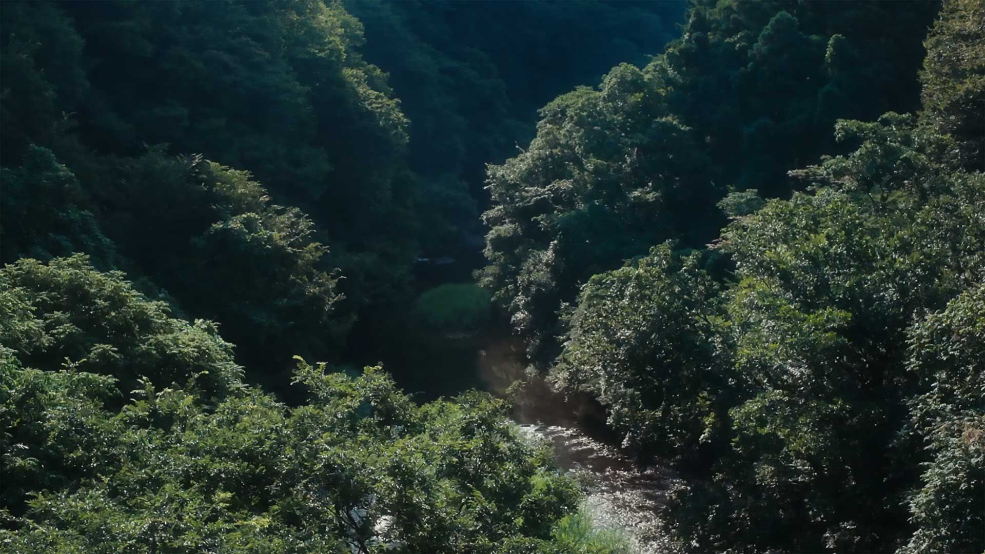 TAKENAKA full image